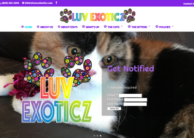 Luv Exoticz Cattery